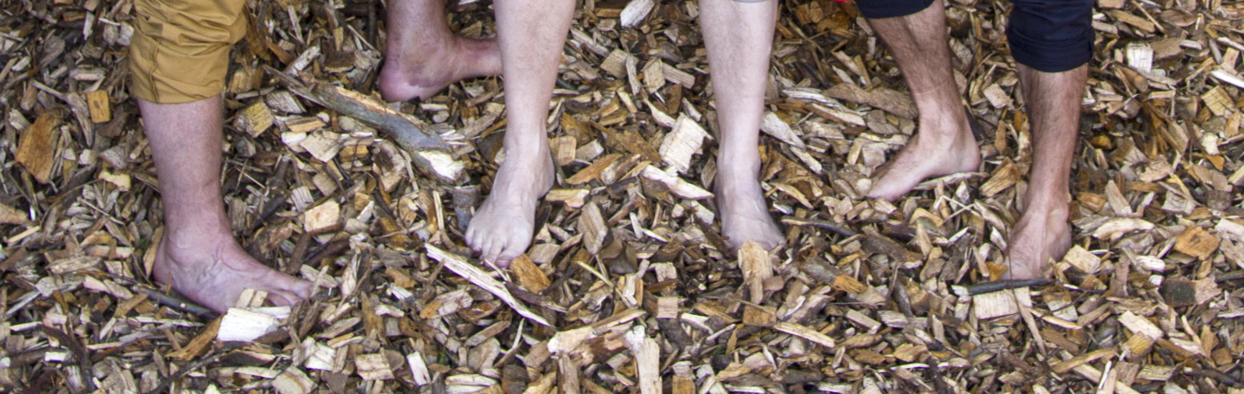 Forschungsprojekt Opossum: Nackte Füße in Hackschnitzeln