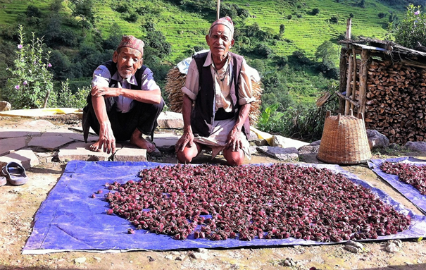 Zwei nepalesische Bauern knieend hinter einem Tuch, auf dem Gewürze ausgebreitet sind.